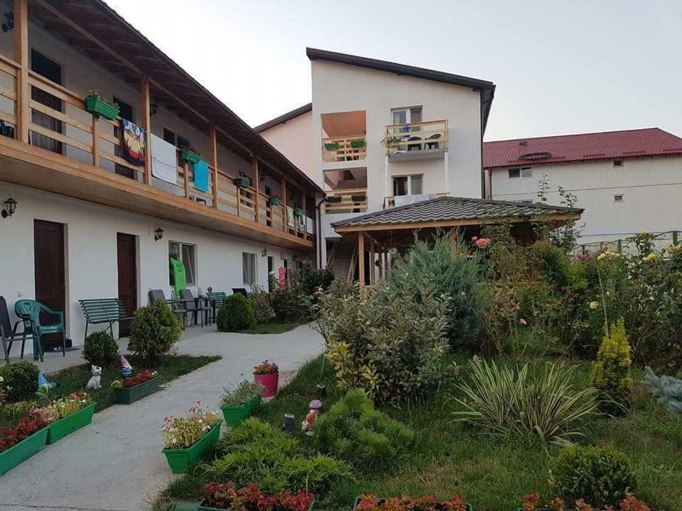 Hotel La Nasa Costinesti Extérieur photo